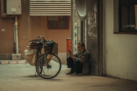 梦见一白一黑猪什么意思，探寻梦境中的象征与隐喻